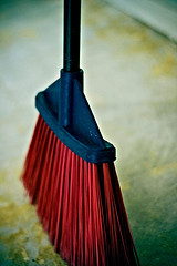 Red Broom